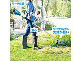 �摜