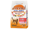 �摜