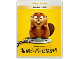 �摜