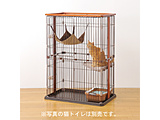 �摜